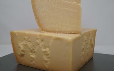 Parmesan (parmigiano reggiano)